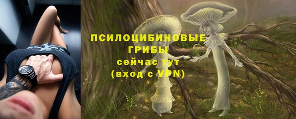 эйфоретик Алексин