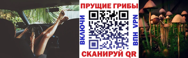 Псилоцибиновые грибы Psilocybe  купить наркоту  Выкса 
